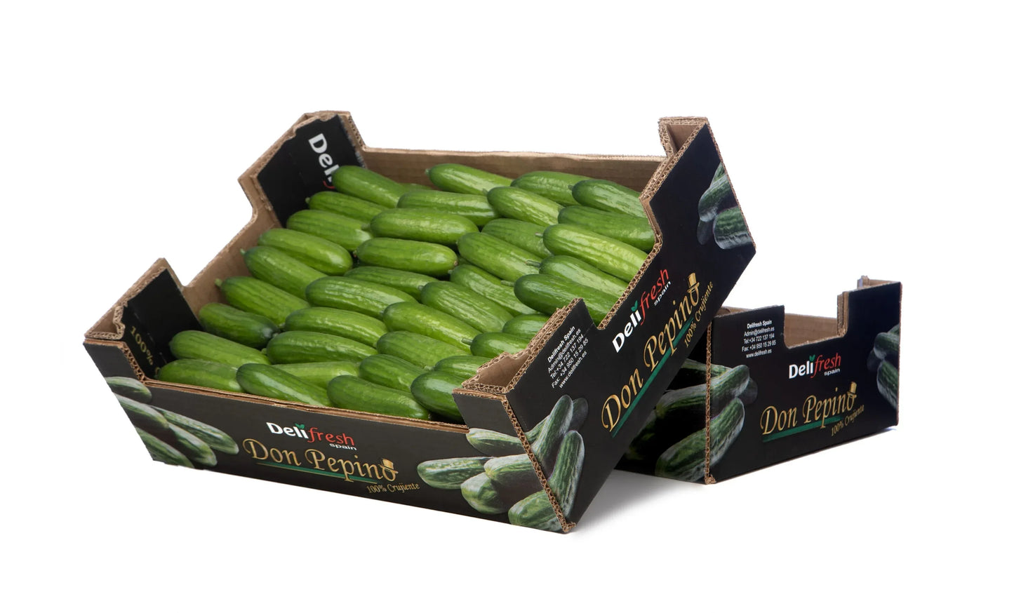 BABY CUCUMBER BOX - Kashmir Watan Foodstores