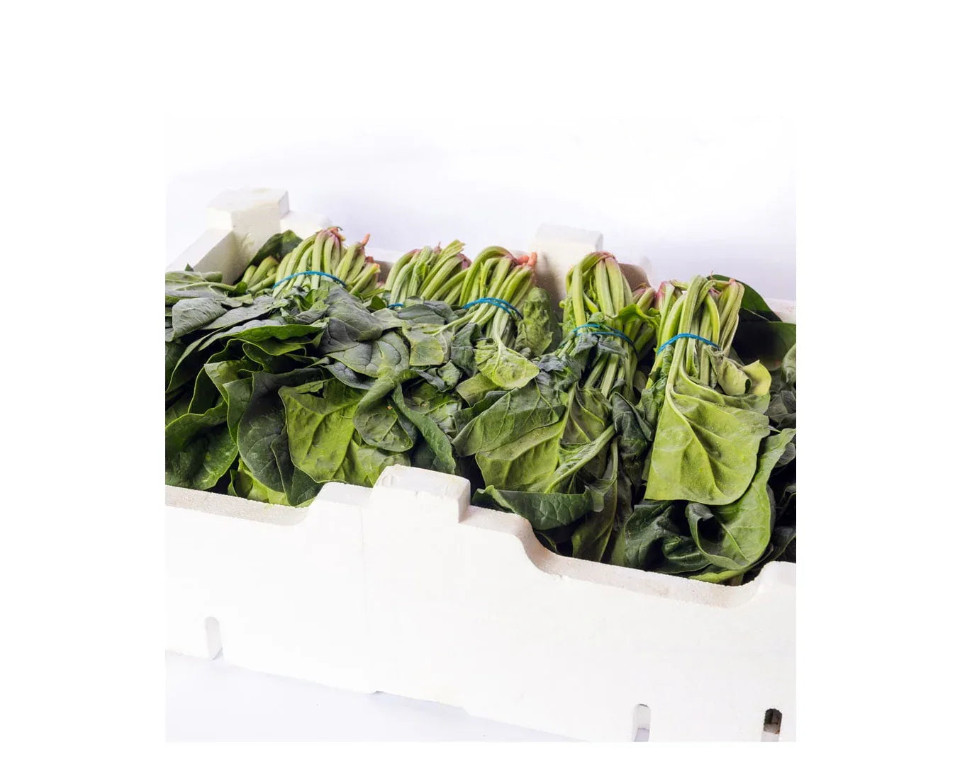 PALAK / SPINACH BOX 20 bunch - Kashmir Watan Foodstores