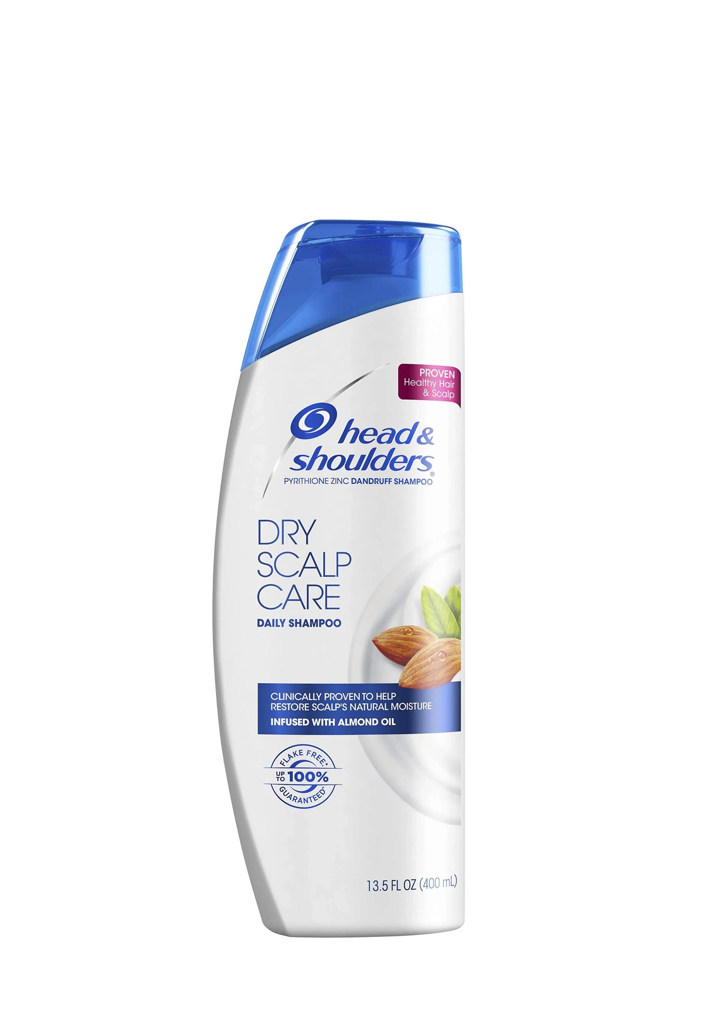 H&S DRY SCALP SHAMPOO 400ml - Kashmir Watan Foodstores
