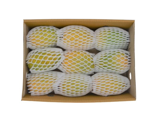 KESAR MANGO L BOX