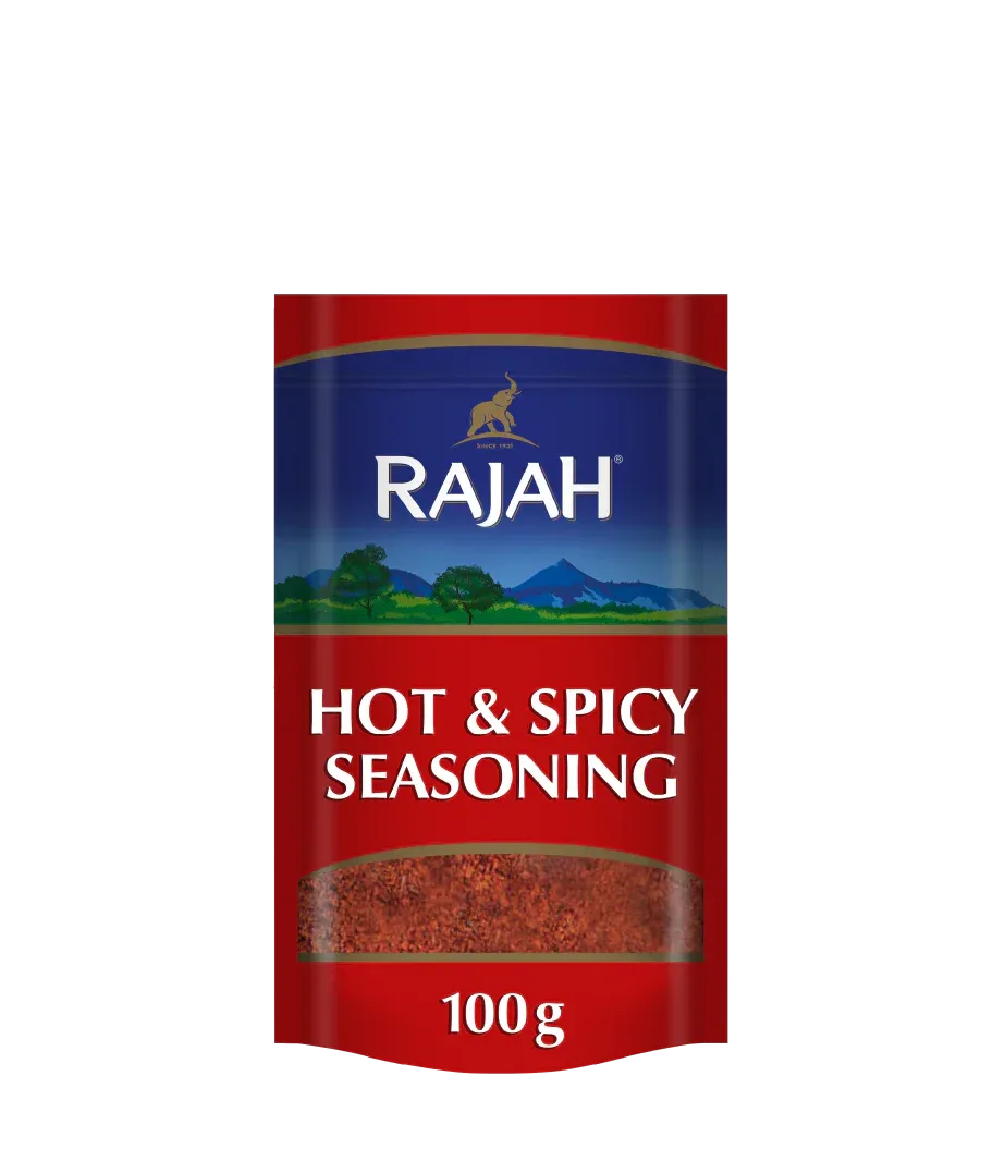 RAJAH HOT & SPICY SEASONING 100G - Kashmir Watan Foodstores