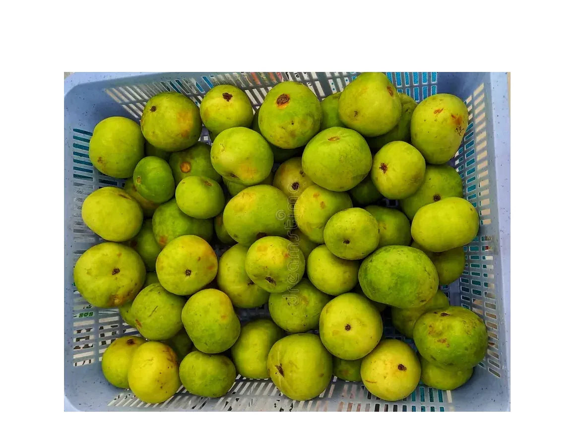 TINDA BOX - Kashmir Watan Foodstores