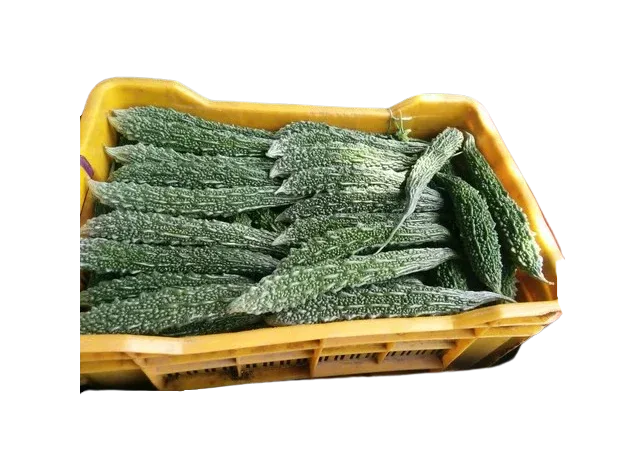 KARELA BOX 13KG - Kashmir Watan Foodstores