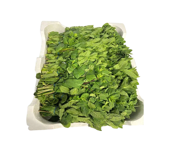 MINT/ PUDINA BOX 20 BUNCHES - Kashmir Watan Foodstores