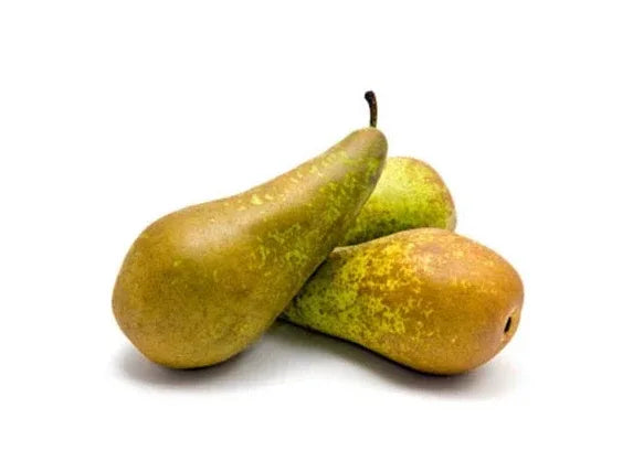 CONFRENCE PEAR - Kashmir Watan Foodstores