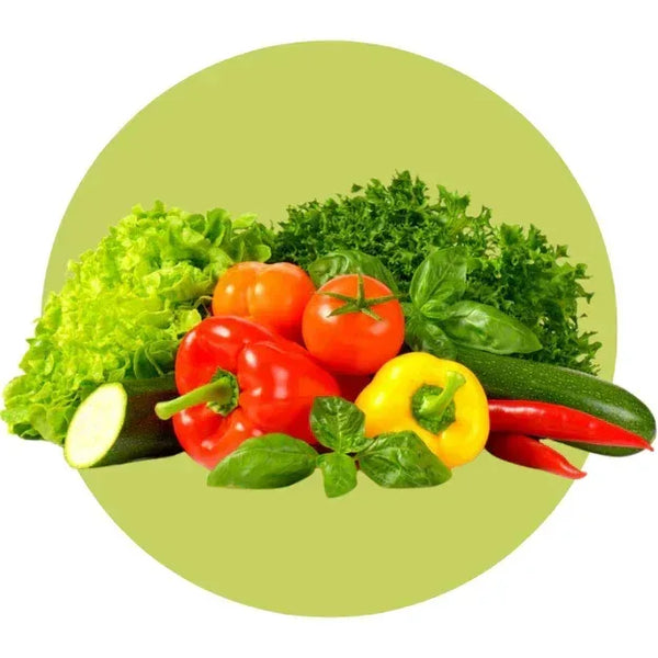 Salad