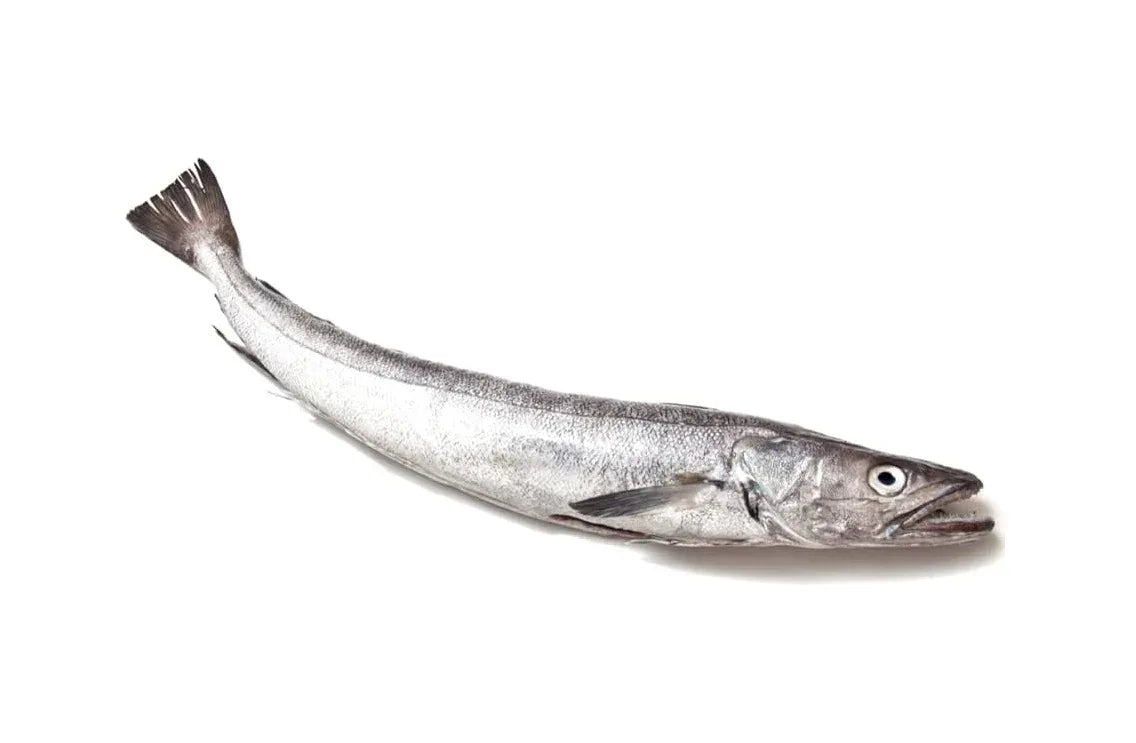 SILVER HAKE FISH - Kashmir Watan Foodstores