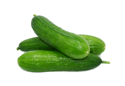 BABY CUCUMBER - Kashmir Watan Foodstores