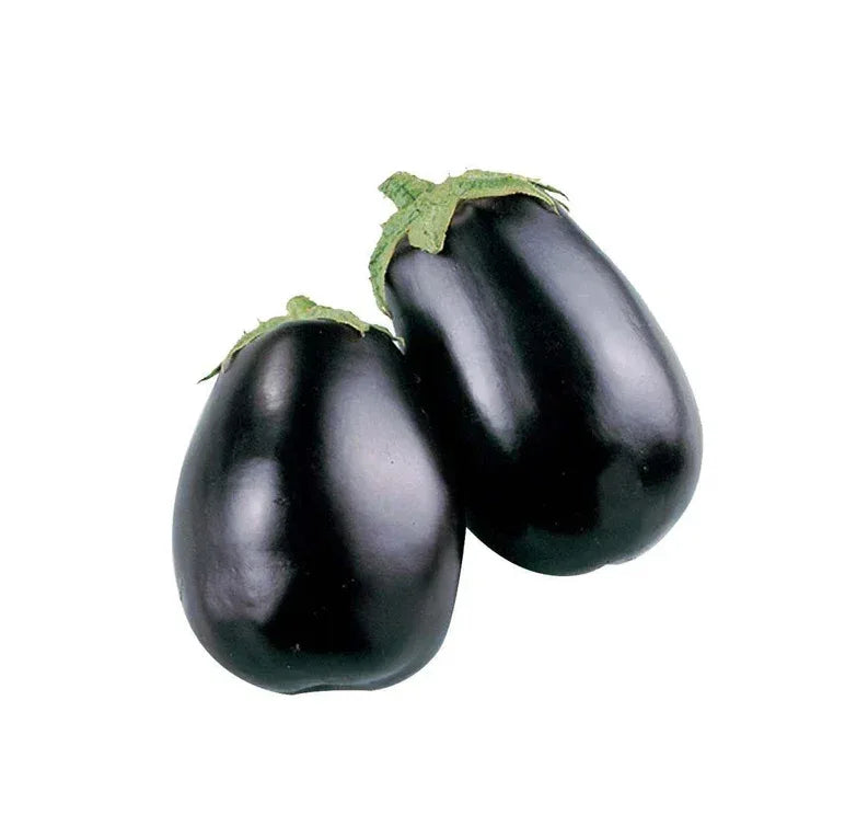 AUBERGINE PINK REVIYA/ BLACK BEAUTY - Kashmir Watan Foodstores