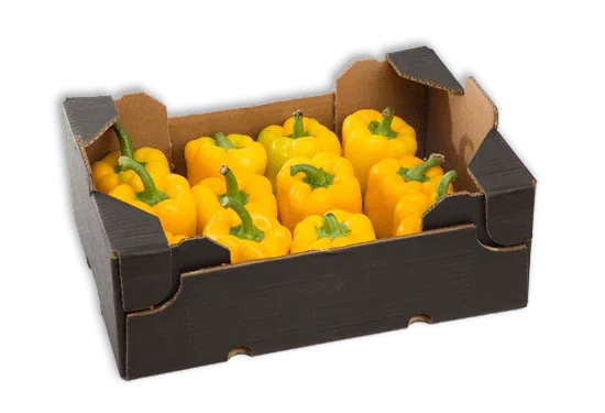 CAPSICUM YELLOW BOX - Kashmir Watan Foodstores