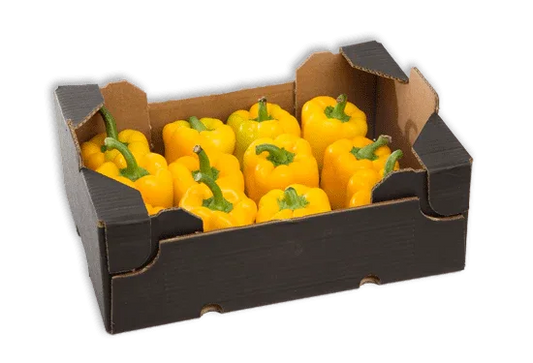 CAPSICUM YELLOW BOX - Kashmir Watan Foodstores