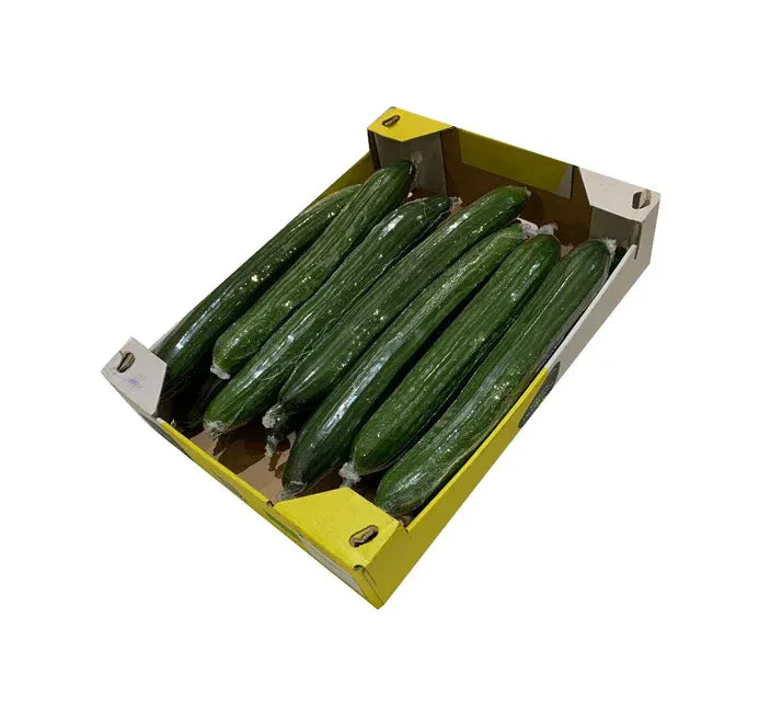 CUCUMBER BOX 16S - Kashmir Watan Foodstores