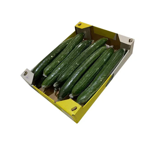 CUCUMBER BOX 16S - Kashmir Watan Foodstores