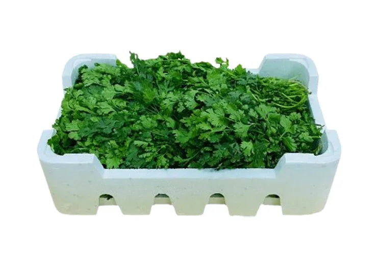 DHANIA / CORIANDER BOX - Kashmir Watan Foodstores