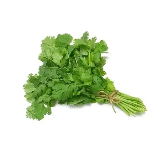DHANIA/ CORIANDER - Kashmir Watan Foodstores