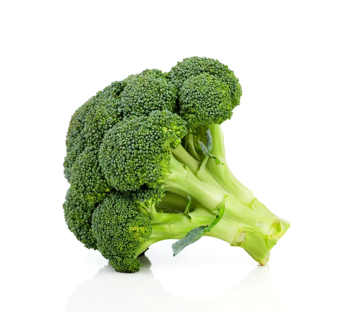 BROCCOLI - Kashmir Watan Foodstores
