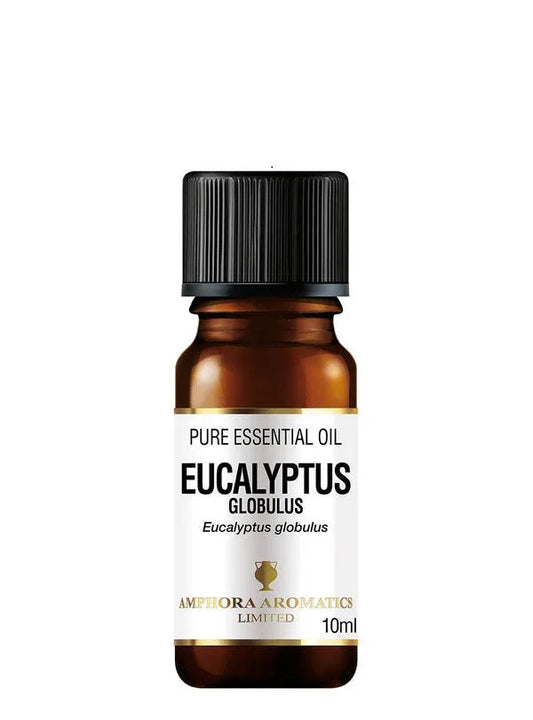 EUCALYPTUS OIL 10ml - Kashmir Watan Foodstores
