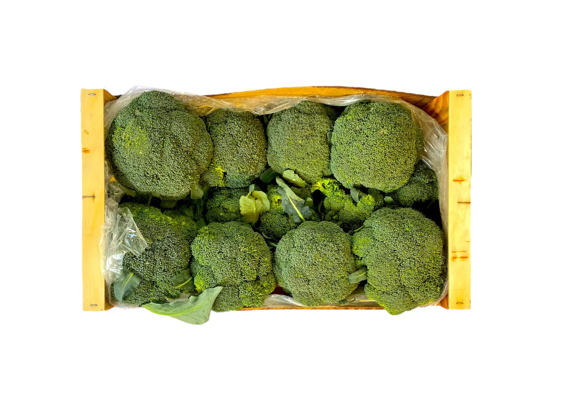 BROCCOLI BOX - Kashmir Watan Foodstores