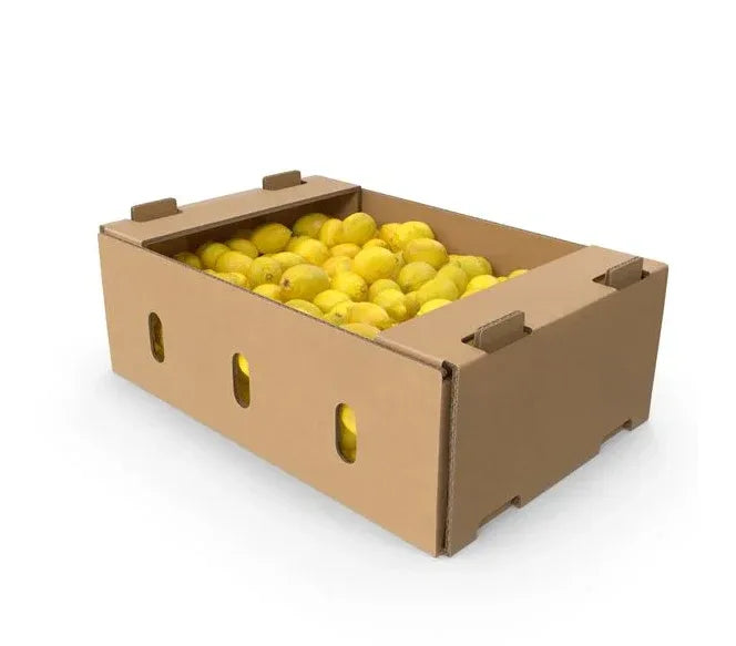 LEMON BOX - Kashmir Watan Foodstores
