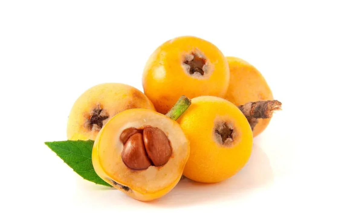 LOQUAT FRUIT / NISPEROS - Kashmir Watan Foodstores