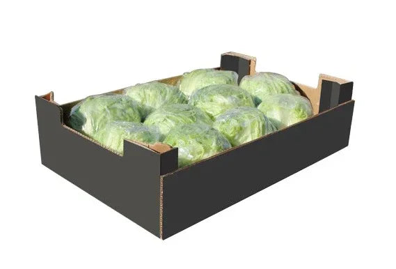 ICEBERG /LETTUCE BOX 12 - Kashmir Watan Foodstores