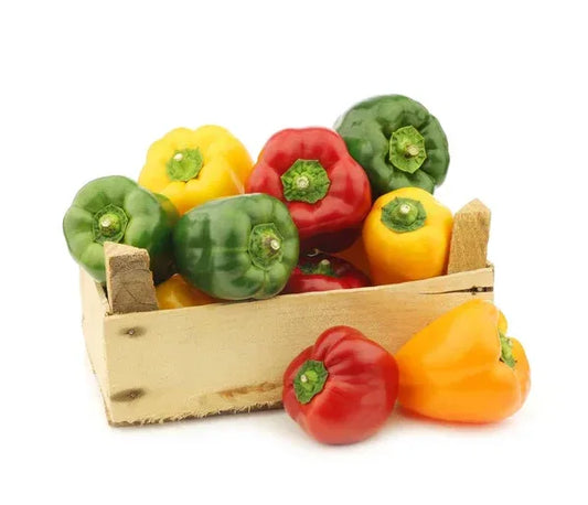 MIX CAPSICUM BOX - Kashmir Watan Foodstores