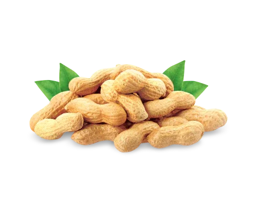 PEANUT - Kashmir Watan Foodstores