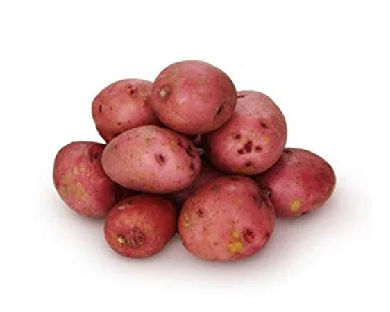 RED POTATO 7.5KG - Kashmir Watan Foodstores