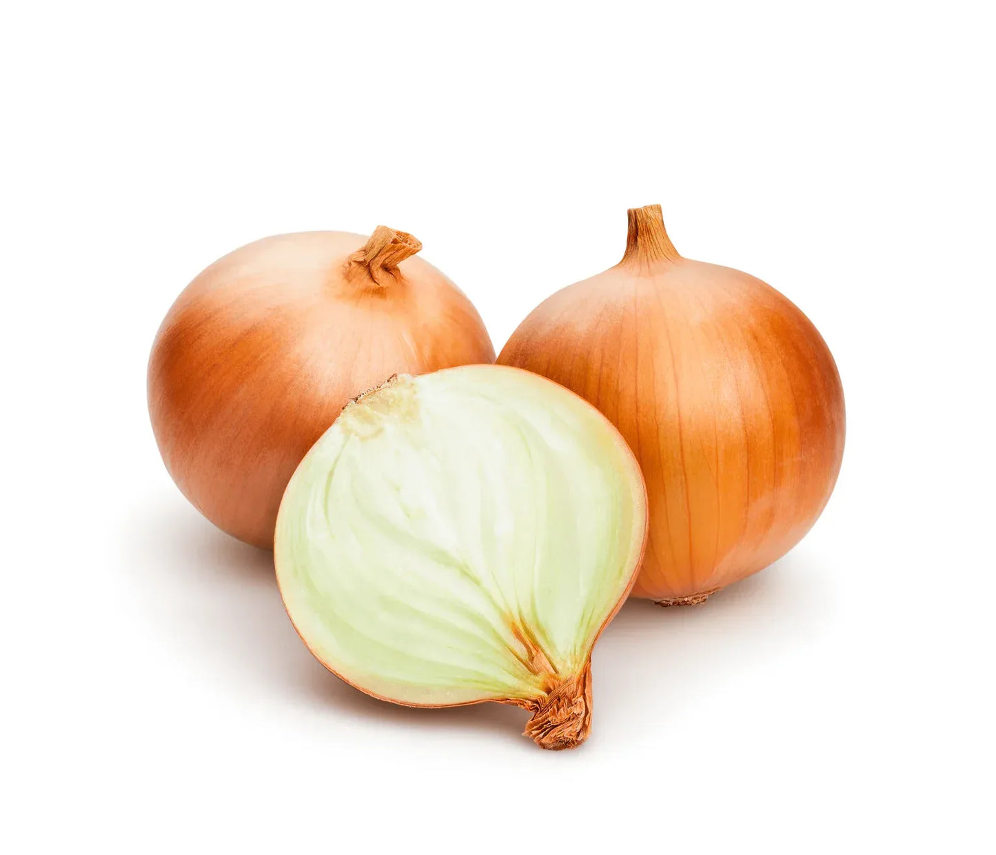 SPANISH ONION LOOSE - Kashmir Watan Foodstores
