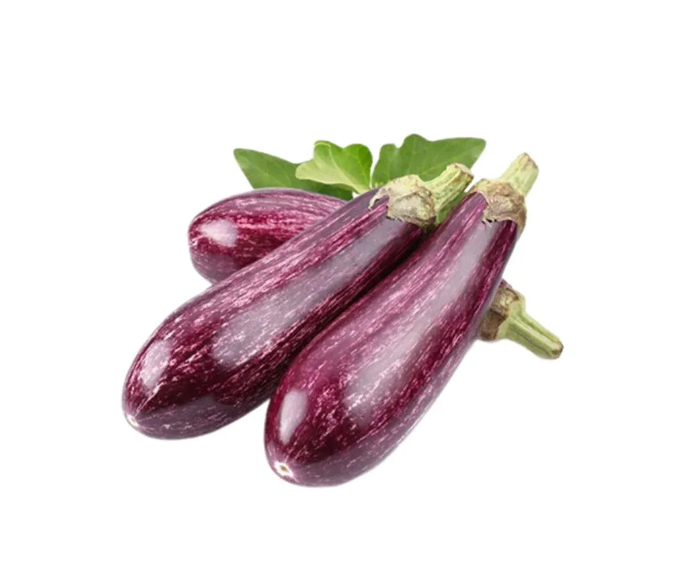 STRIPED REVIYA AUBERGINE - Kashmir Watan Foodstores
