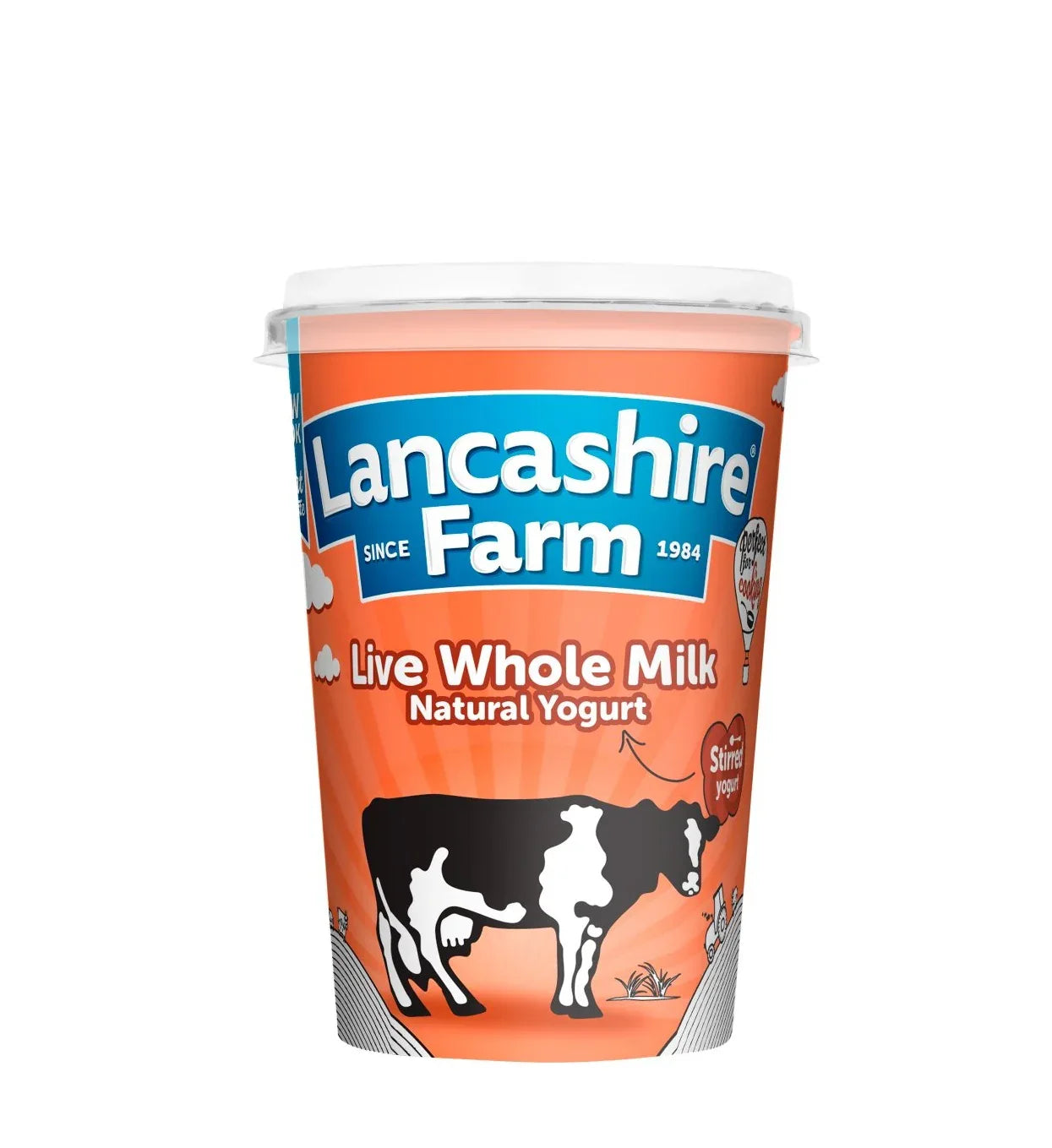 L/F YOGURT ORANGE 470G - Kashmir Watan Foodstores