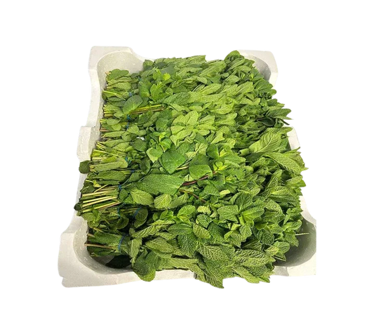 MINT/ PUDINA BOX 20 BUNCHES - Kashmir Watan Foodstores