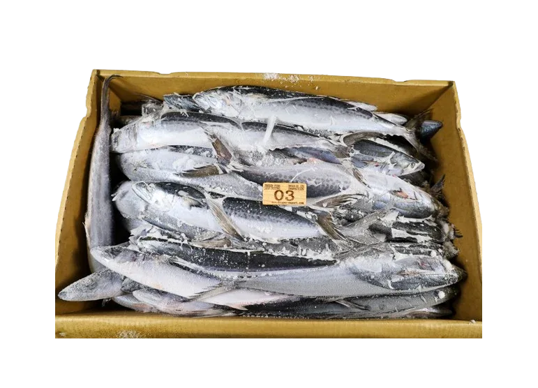MACKEREL SPANISH/SCOTISH BOX - Kashmir Watan Foodstores