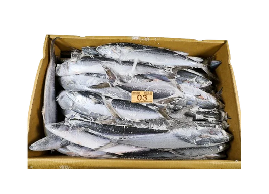 MACKEREL SPANISH/SCOTISH BOX - Kashmir Watan Foodstores