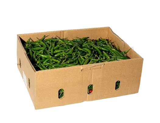 ROCKET/BIRDS EYE CHILLI SMALL BOX - Kashmir Watan Foodstores