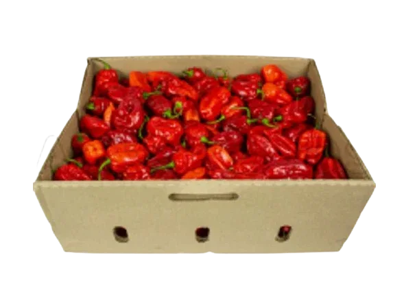HOT PEPPER BOX 2KG - Kashmir Watan Foodstores