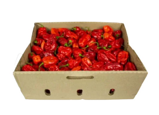 HOT PEPPER BOX 2KG - Kashmir Watan Foodstores