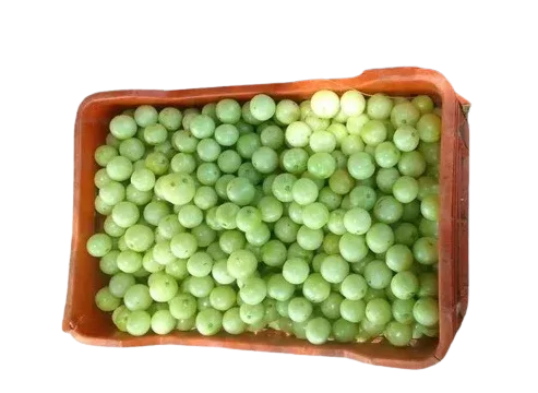 AMLA BOX - Kashmir Watan Foodstores