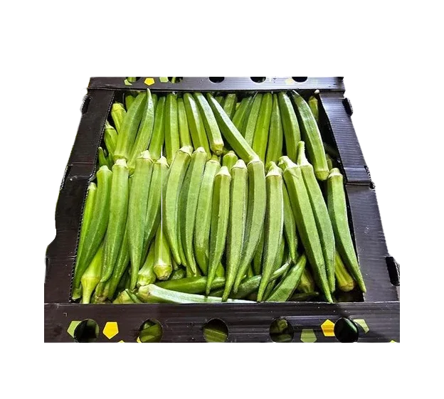 BHINDI (OKRA) BOX 4KG - Kashmir Watan Foodstores
