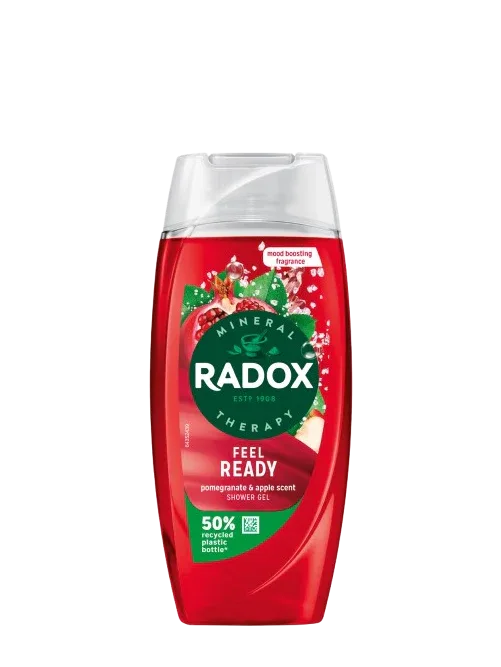 RADOX POMEGRANATE & APPLE SCENT 225ML - Kashmir Watan Foodstores