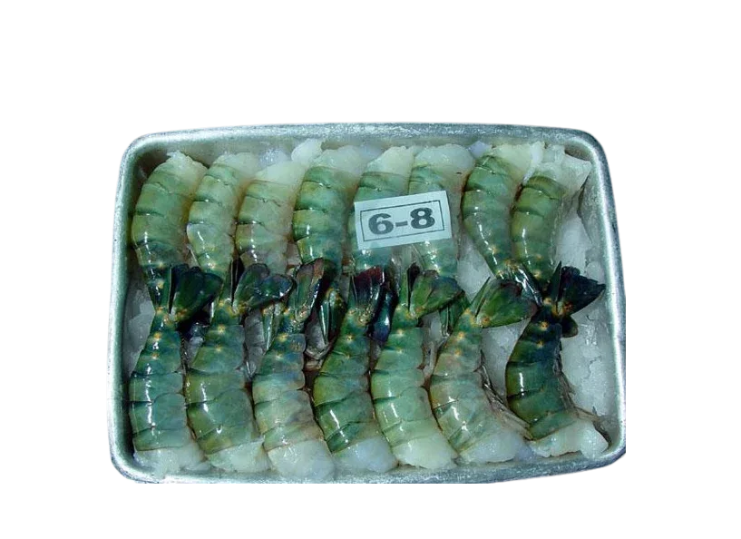 TIGER KING PRAWNS 6/8 BLOCK 700G - Kashmir Watan Foodstores