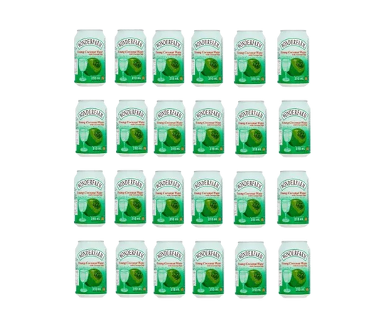 WONDERFARM COCONUT WATER 24X330ML - Kashmir Watan Foodstores