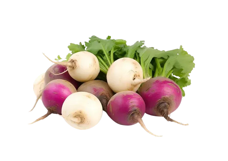 TURNIP - Kashmir Watan Foodstores