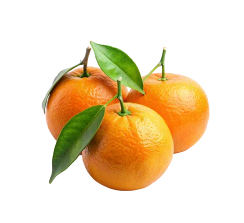 ORANGE 3 FOR £1 - Kashmir Watan Foodstores
