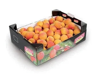 APRICOT BOX 5KG - Kashmir Watan Foodstores