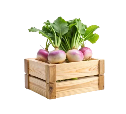 TURNIP BAG - Kashmir Watan Foodstores
