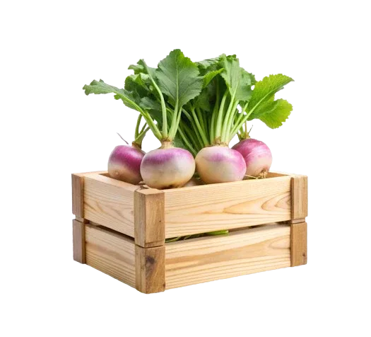 TURNIP BAG - Kashmir Watan Foodstores